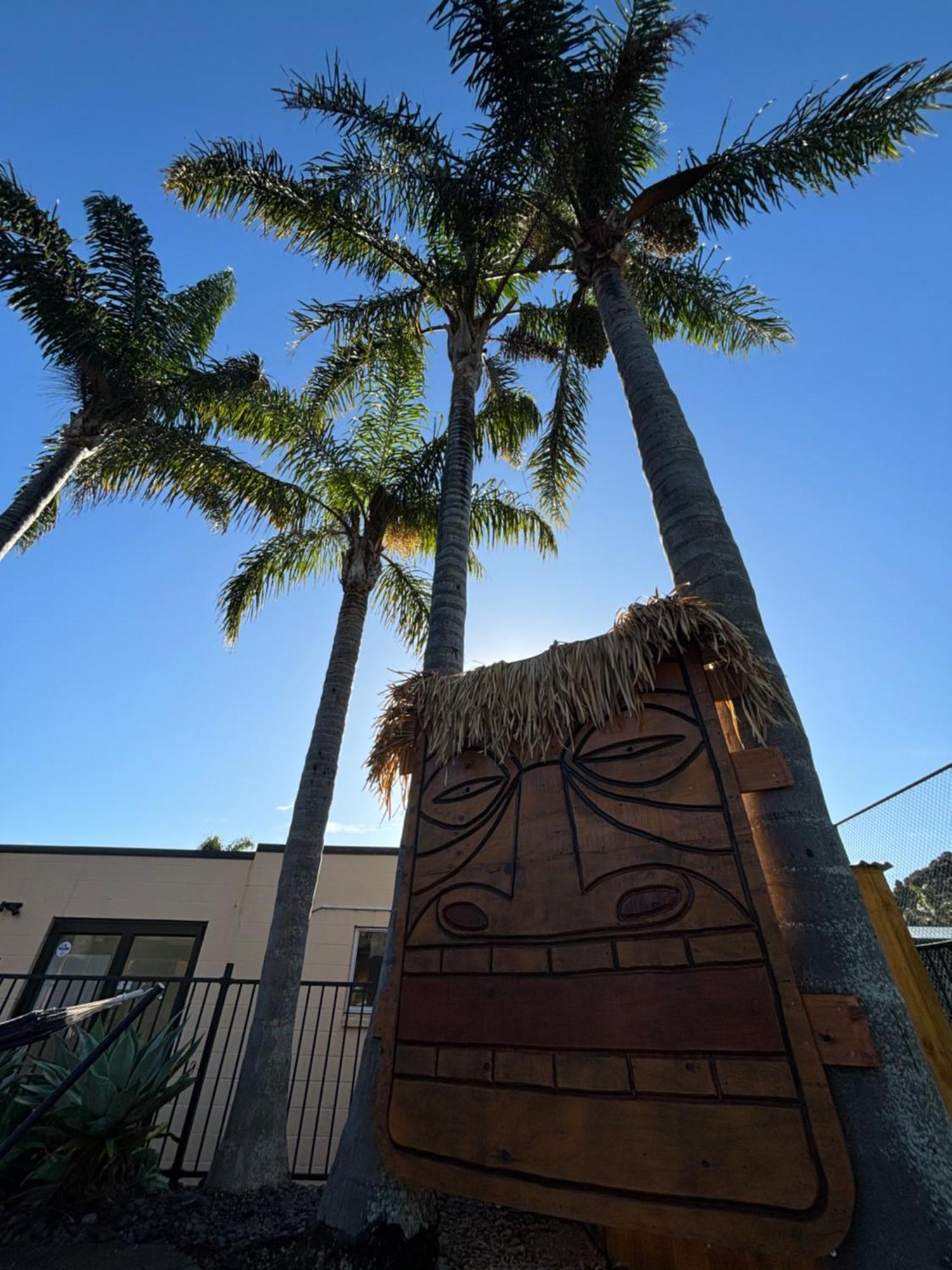 Palm Tree Lodge Пейхия Экстерьер фото